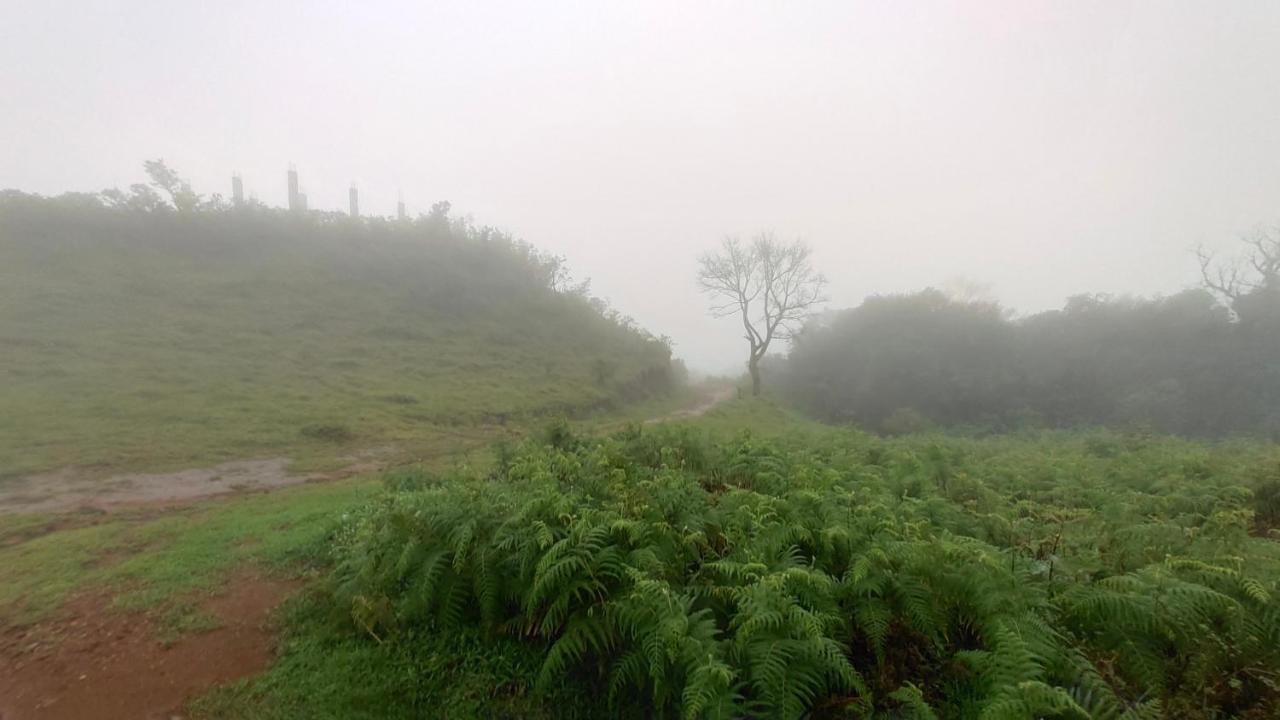 Stoneage Resort Sakleshpur Luaran gambar